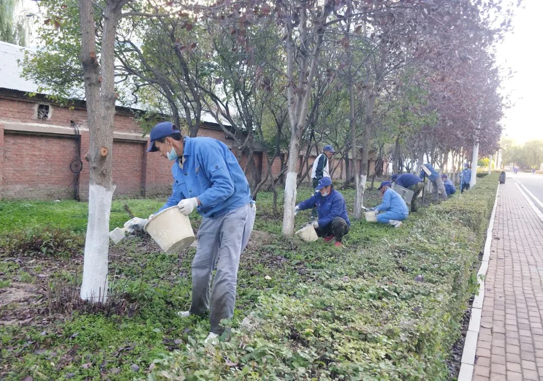 BG大游集团(中国)唯一官方网站
