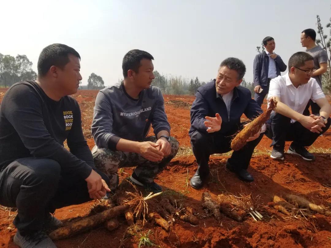 BG大游集团(中国)唯一官方网站