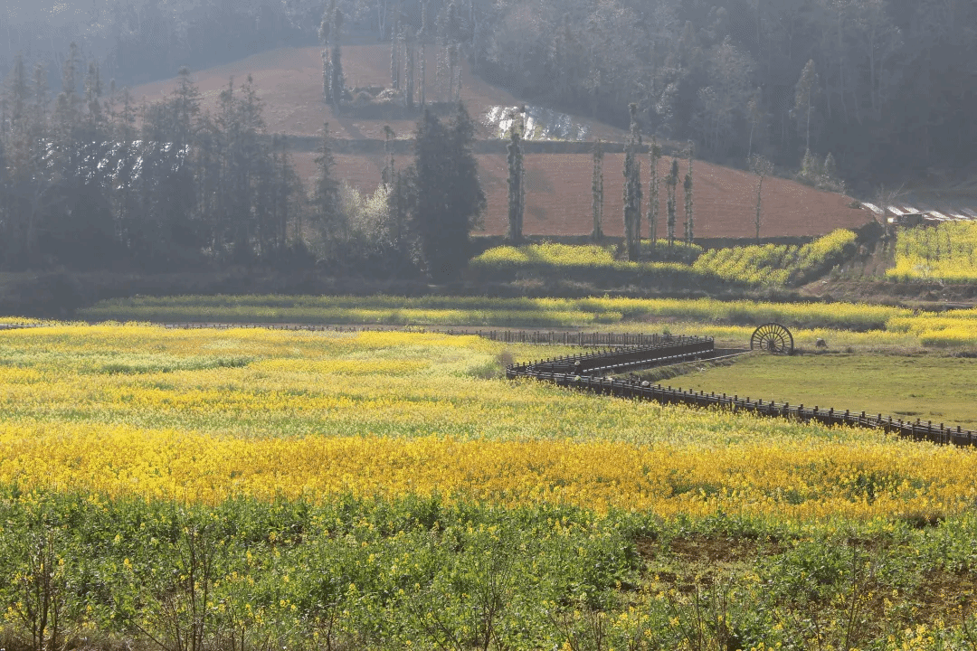BG大游集团(中国)唯一官方网站