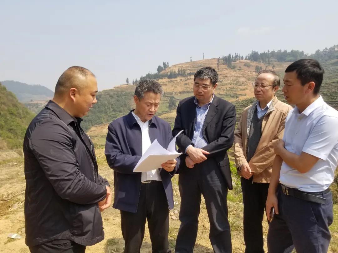 BG大游集团(中国)唯一官方网站